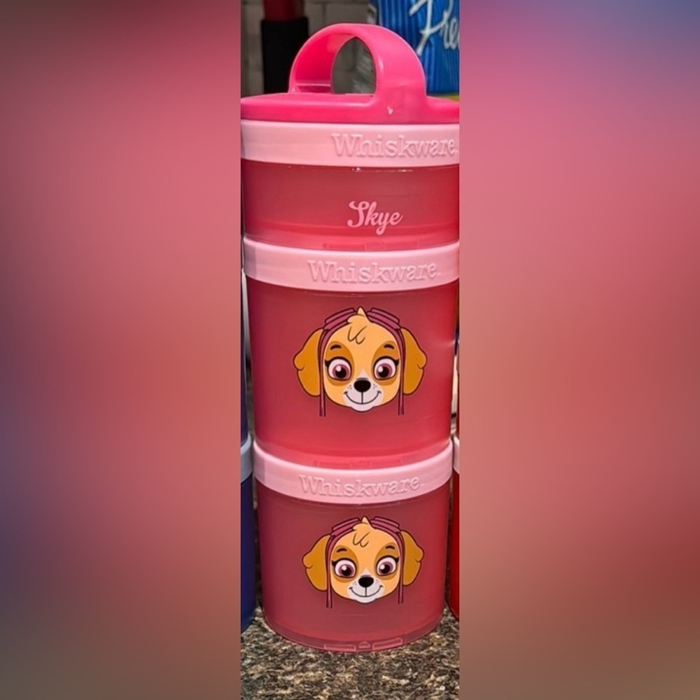 Paw Patrol Skye Whiskware Pink Kids Toy Container